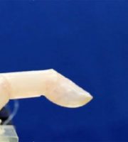 Further advances in the development of synthetic skin for robots