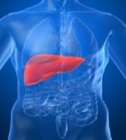 Machine made liver transplants in humans