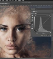 Possible to introduce free version of Adobe Photoshop