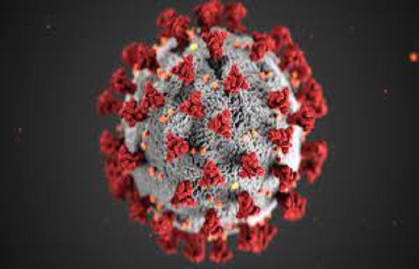 Risk of sixth wave of corona virus