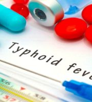 Typhoid bacteria weigh heavily on existing drugs