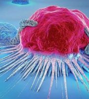 Why does breast cancer spread more at bedtime New research